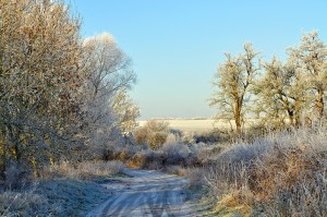 photo by Jayt74 on Flickr